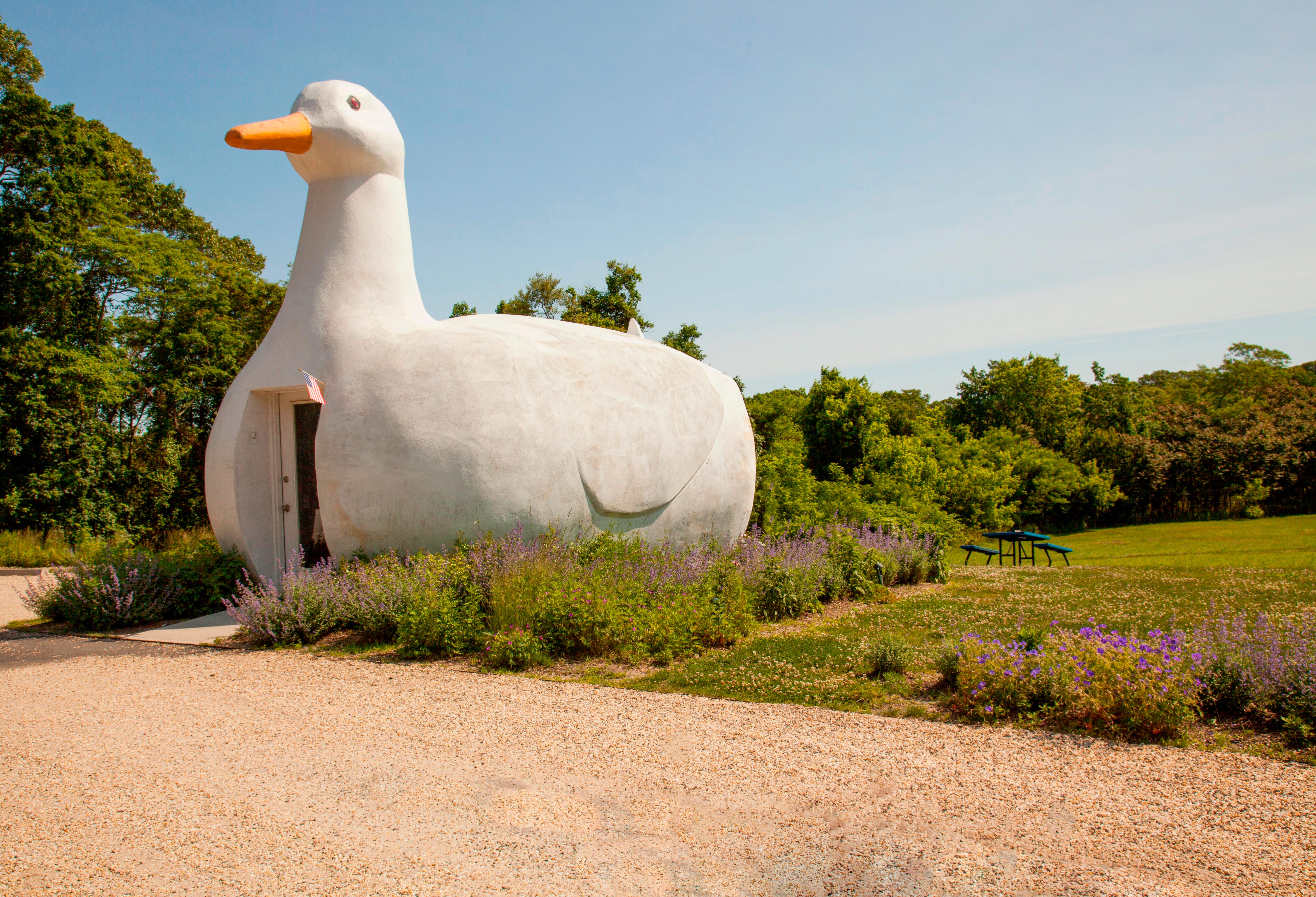 The Big Duck