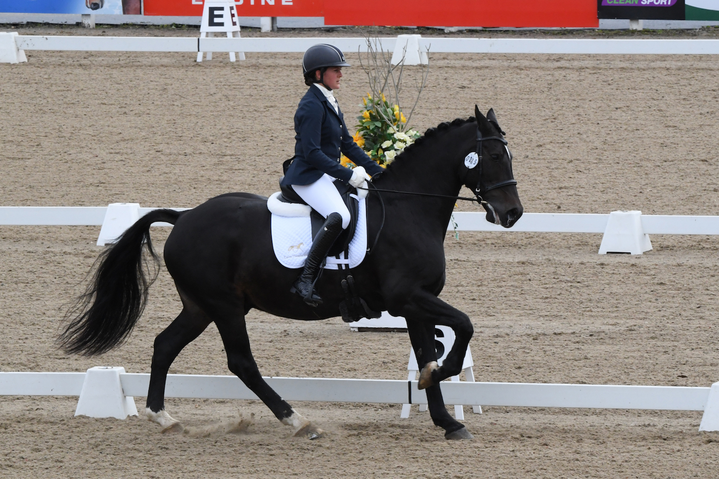 NS0_5919-Copy-1.jpg