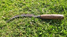 Garden sickle placed atop green grass