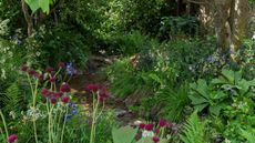 RHS Chelsea Flower Show garden designed by Monty Don filled with rich-coloured flowers and foliage