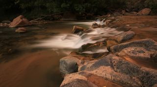 Zion's North Fork of the Virgin River. Image: Jamie Carter