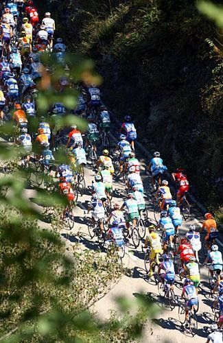 The peloton during stage 9