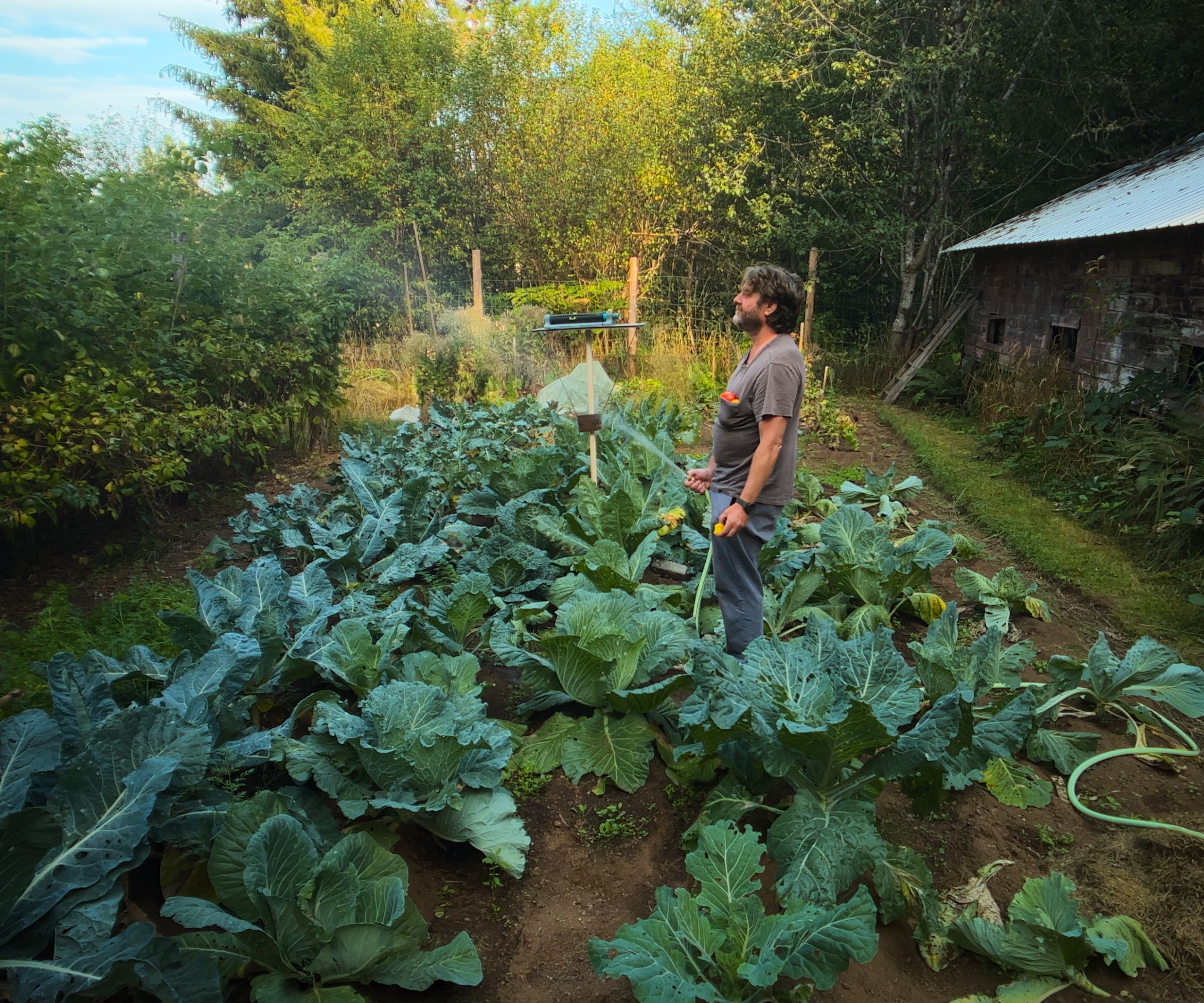 Zach Galifianakis waters tomatoes for This Is Gardening on Netflix