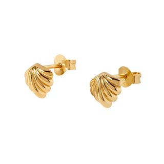 edge of ember shell gold earrings