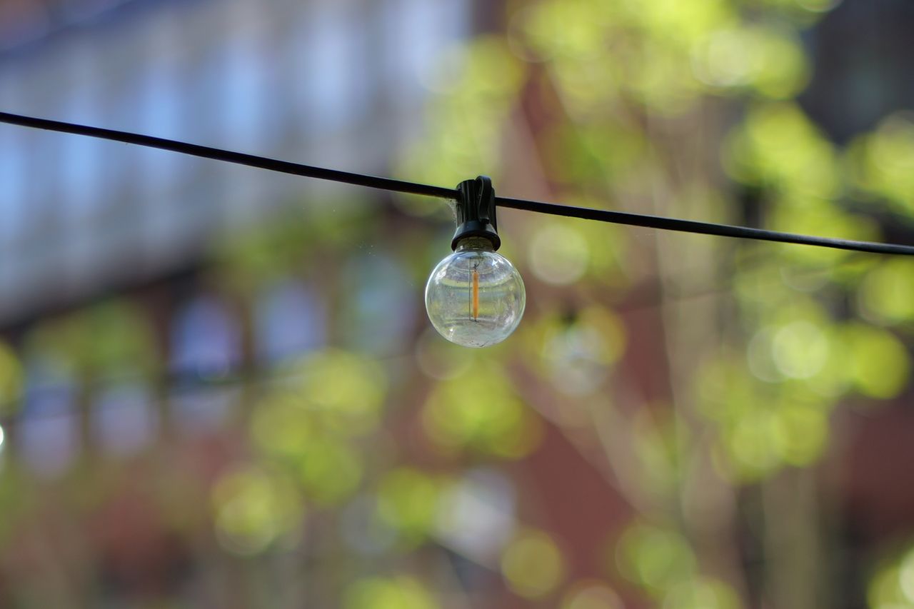 Images captured on the Panasonic Lumix S9