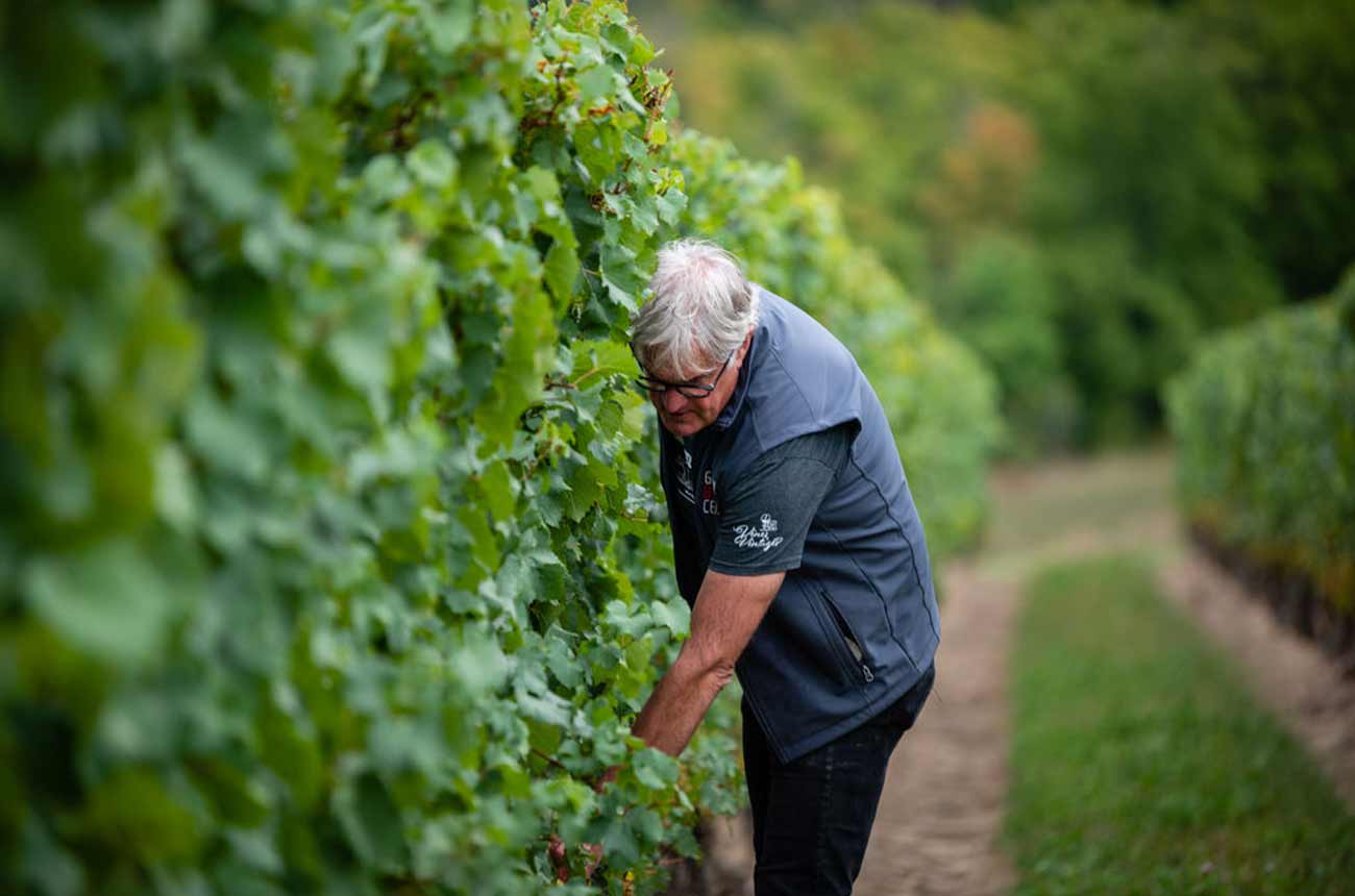 Thomas-checking-the-harvest-in-Wismer-Foxcroft.jpg