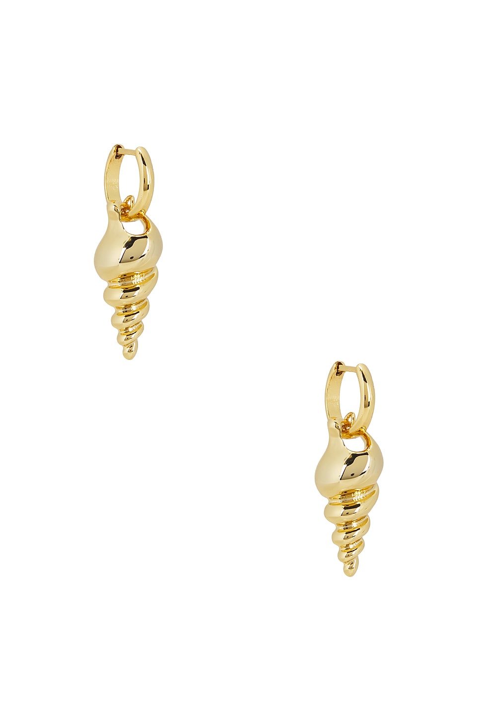 Conch Earrings
