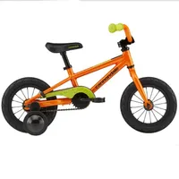 Cannondale Trail 12: was $260 now $207.93 at REI