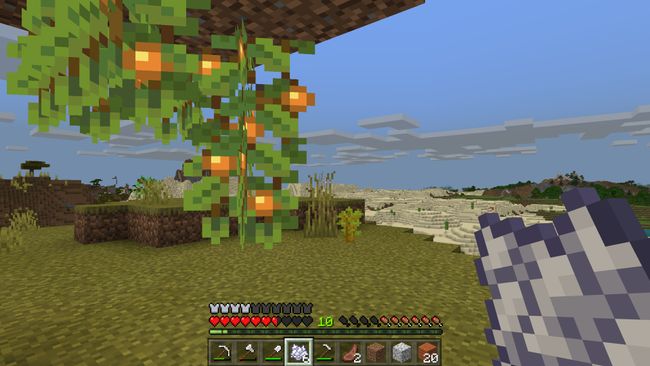 How To Grow Plants In Minecraft