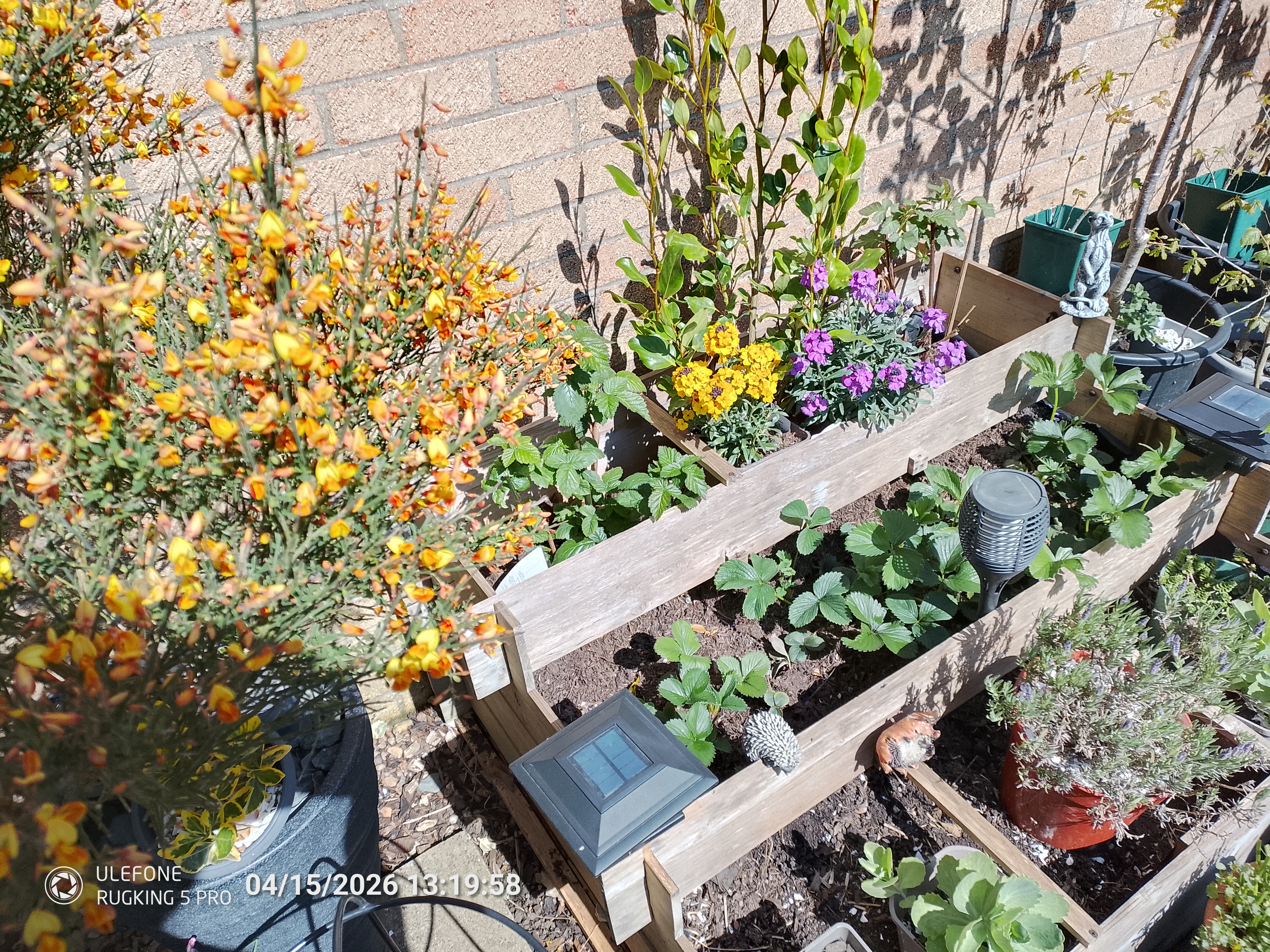 Ulefone RugKing 5 Pro Example Photos