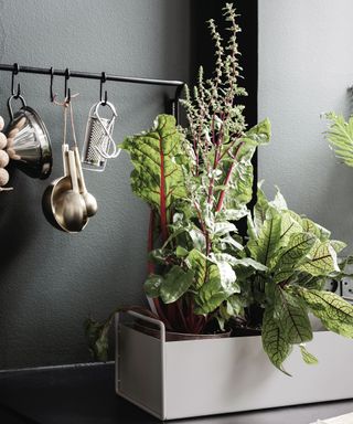 Ferm Living Plant Box Small by Nest