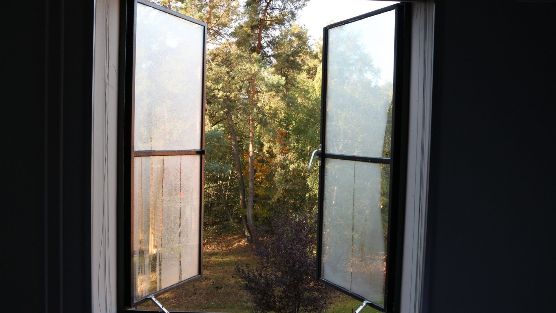 The image shows a window, which is wet and steamy with condensation, wide open. Outside, there are leafy green plants and trees.