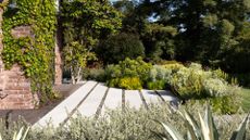 St Francis Residence - A Backyard with green, bright plants