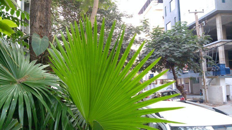 Lenovo K6 Power camera sample