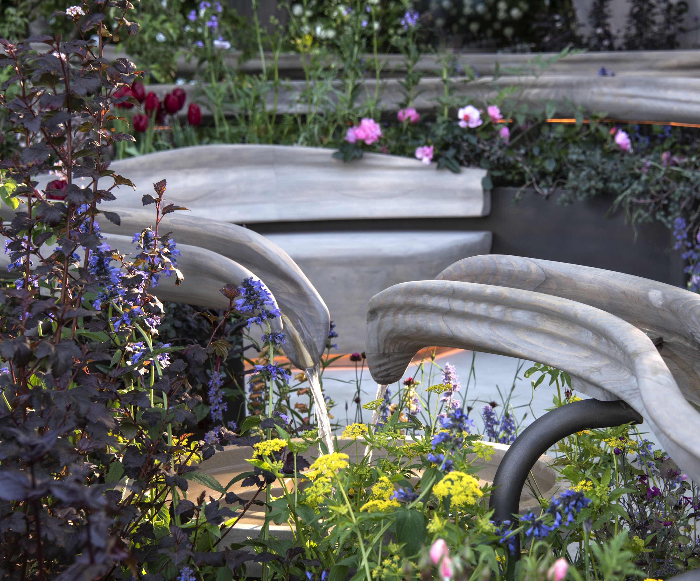 Water rill surrounded by planting