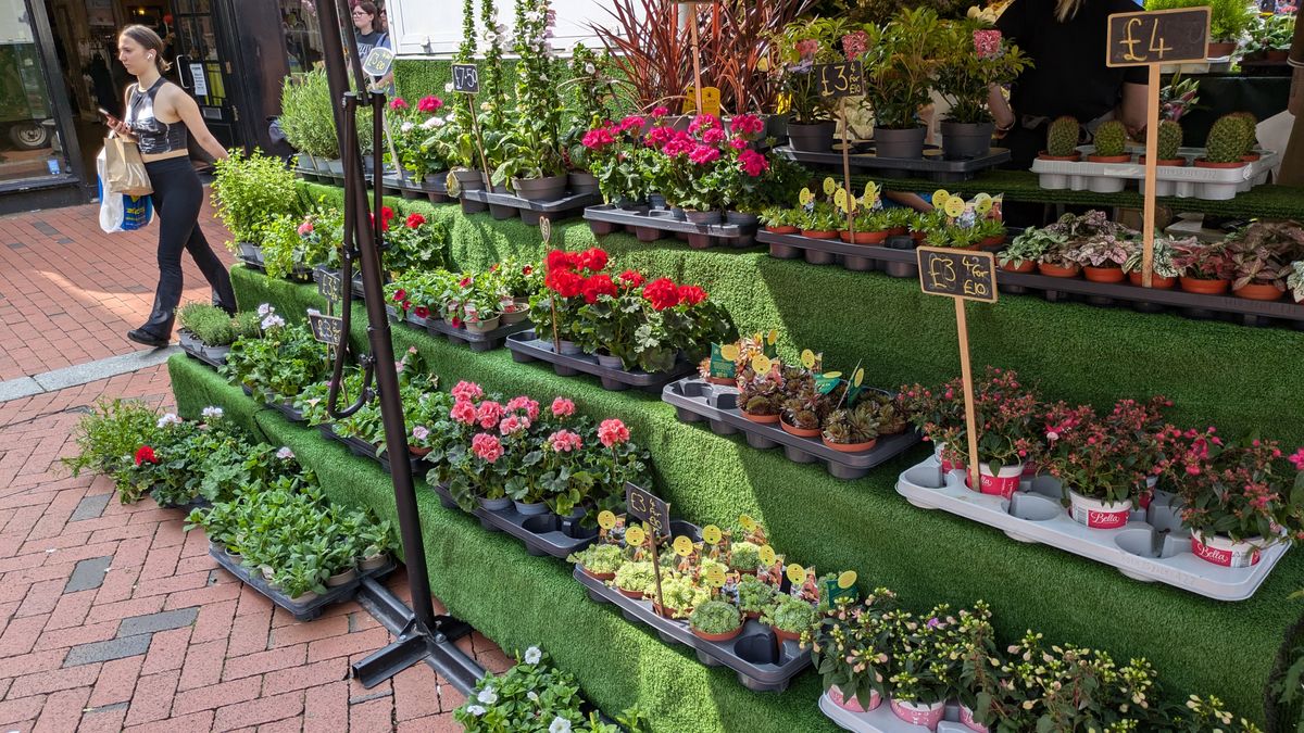 200 photos google pixel 8a vs google pixel 6 pro