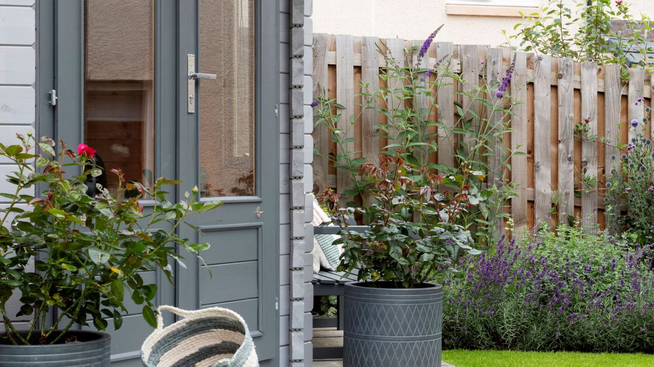 Outdoor shed on lawn and patio against fencing with colourful borders and potted plants