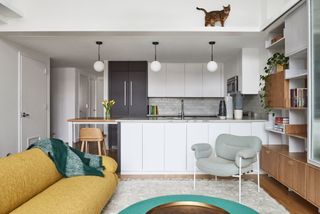 an apartment with a cat walk for a bengal cat