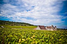 Bouchard Clos de Vougeot