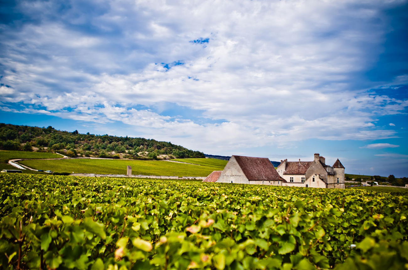 Bouchard Clos de Vougeot