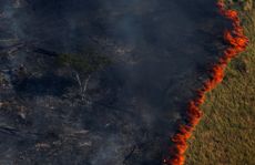 The Amazon forest burning. 