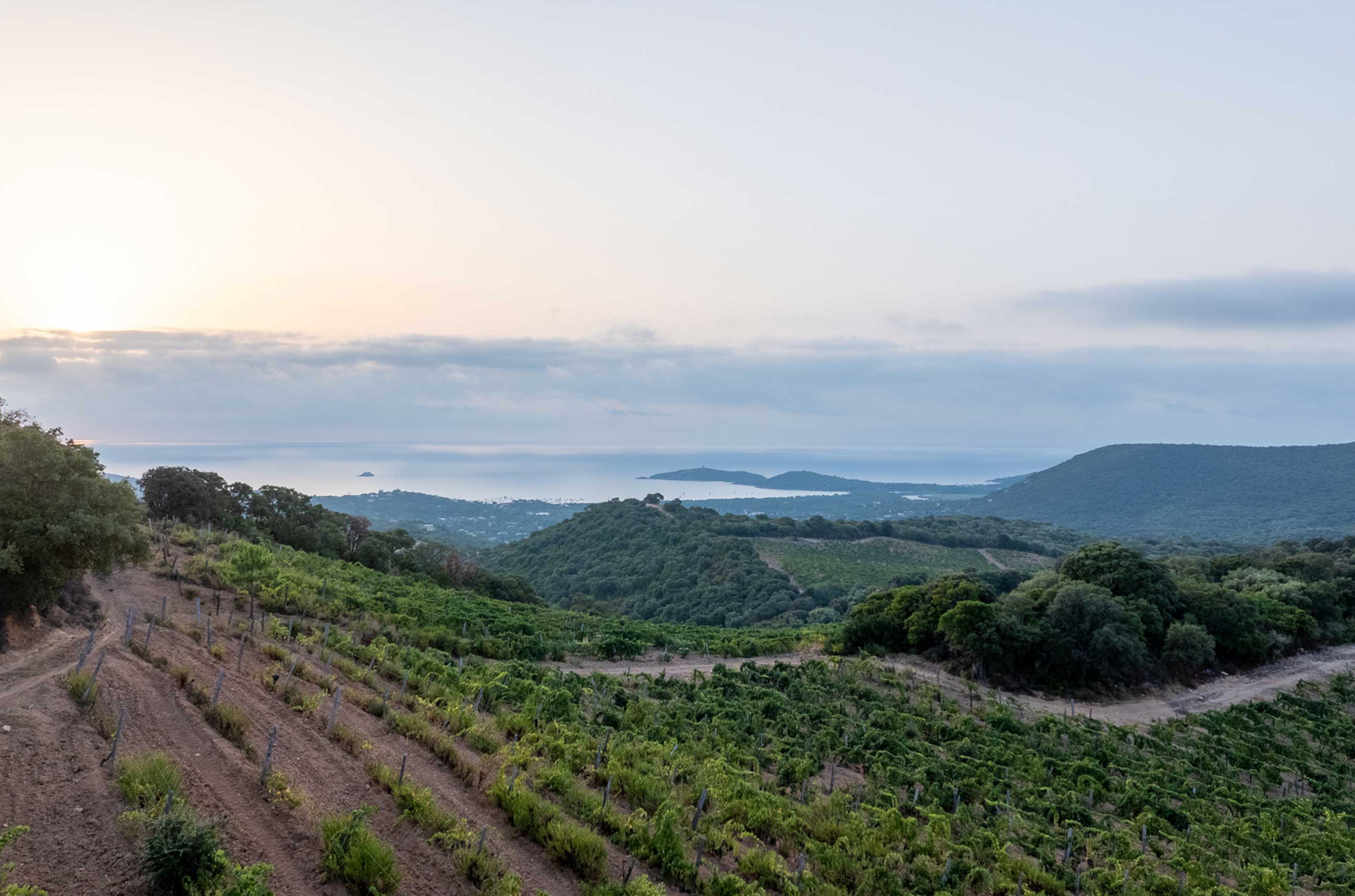 Corsica