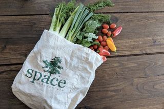 An artist residency and organic farm in New York, SPACE on Ryder Farm is not space-related, but is benefiting from the fly your item to space Charitybuzz auction.