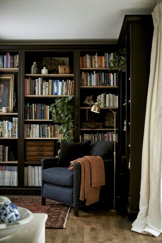 Bookshelves with a trailing plant