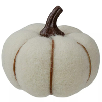 3. Northlight 5" Cream and Brown Fall Harvest Tabletop Pumpkin | Was $18.49