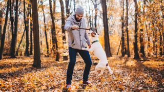 Man playing with dog in autumn forest
