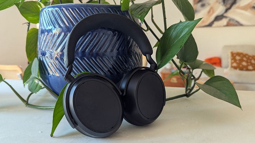 Sennheiser Momemtum 4 Wireless against a plant pot