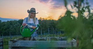 garden water saving tips: Woman watering plants in the evening