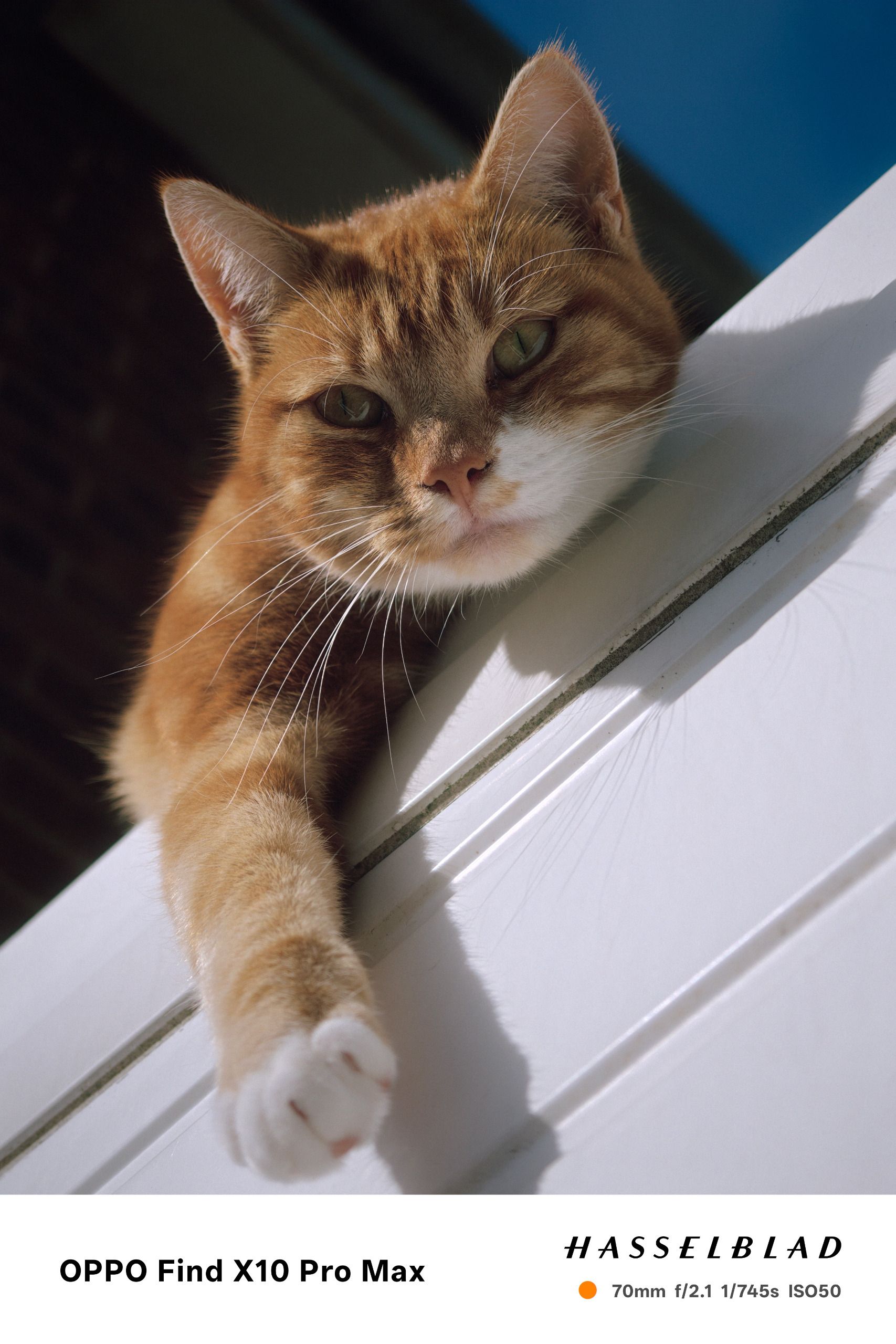 Sample photo taken on the Oppo Find X10 Pro Max