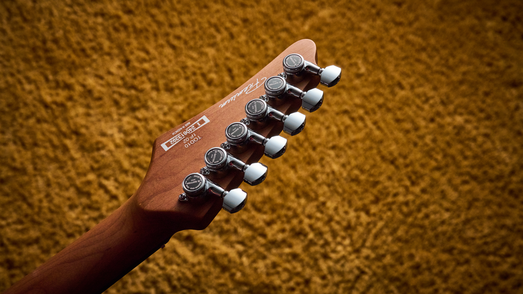 Ibanez TOD10