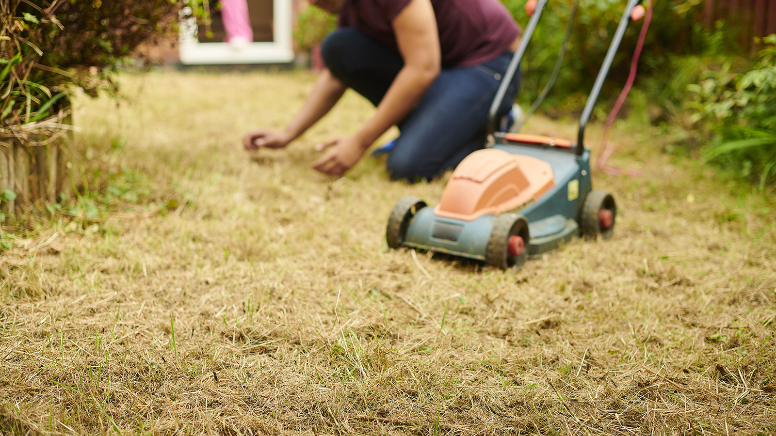 A dry brown lawn with a lawn mower and man stooped inspecting the grass