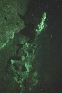 One of the new deep sea vents.