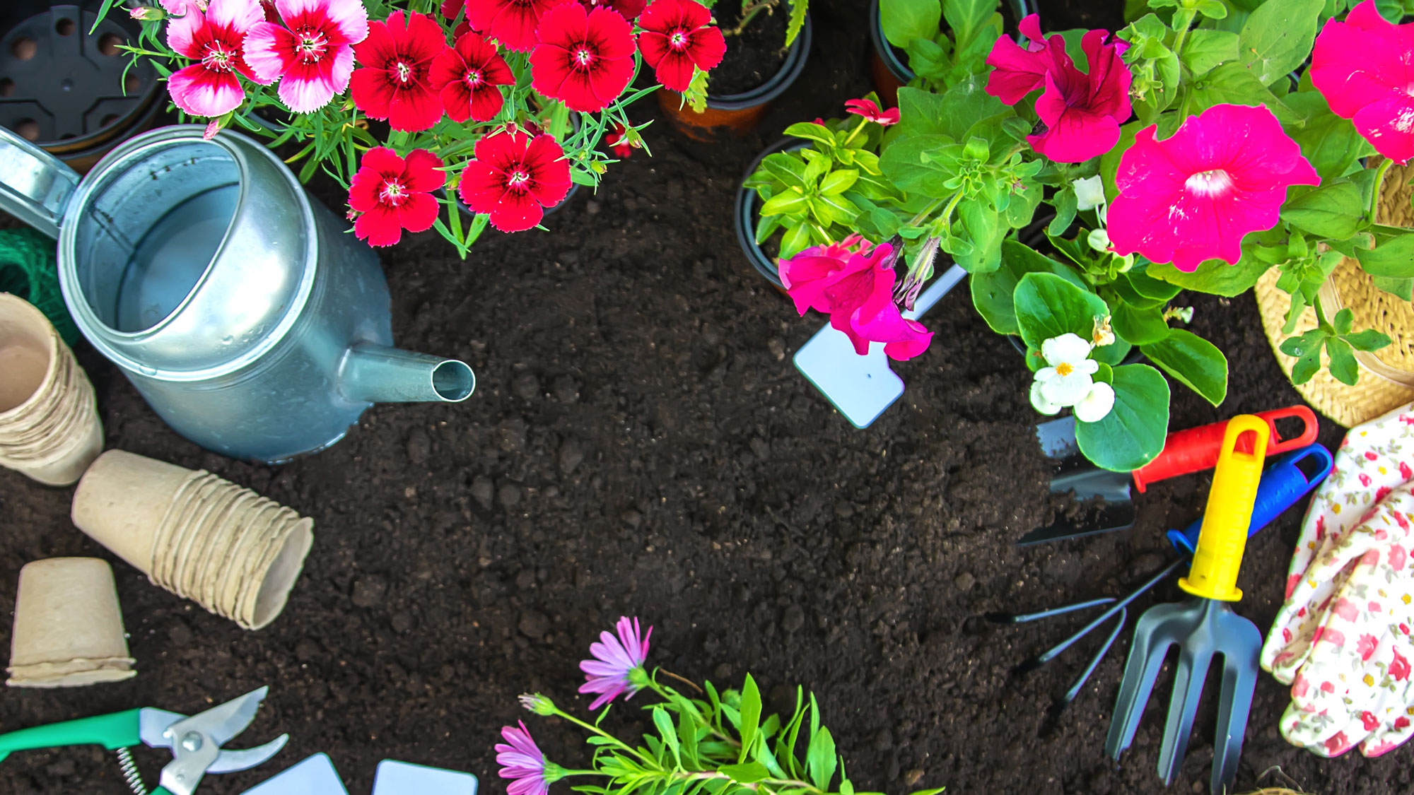 watering can, flowers and pots next to garden soil