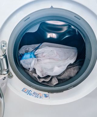 Flyknit in washing machine best sale