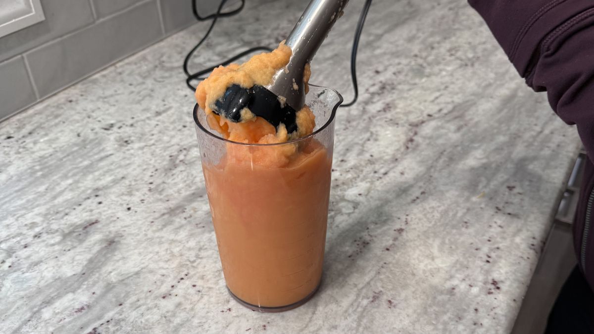 Ninja Power Duo Immersion Blender with Whisk making smoothies