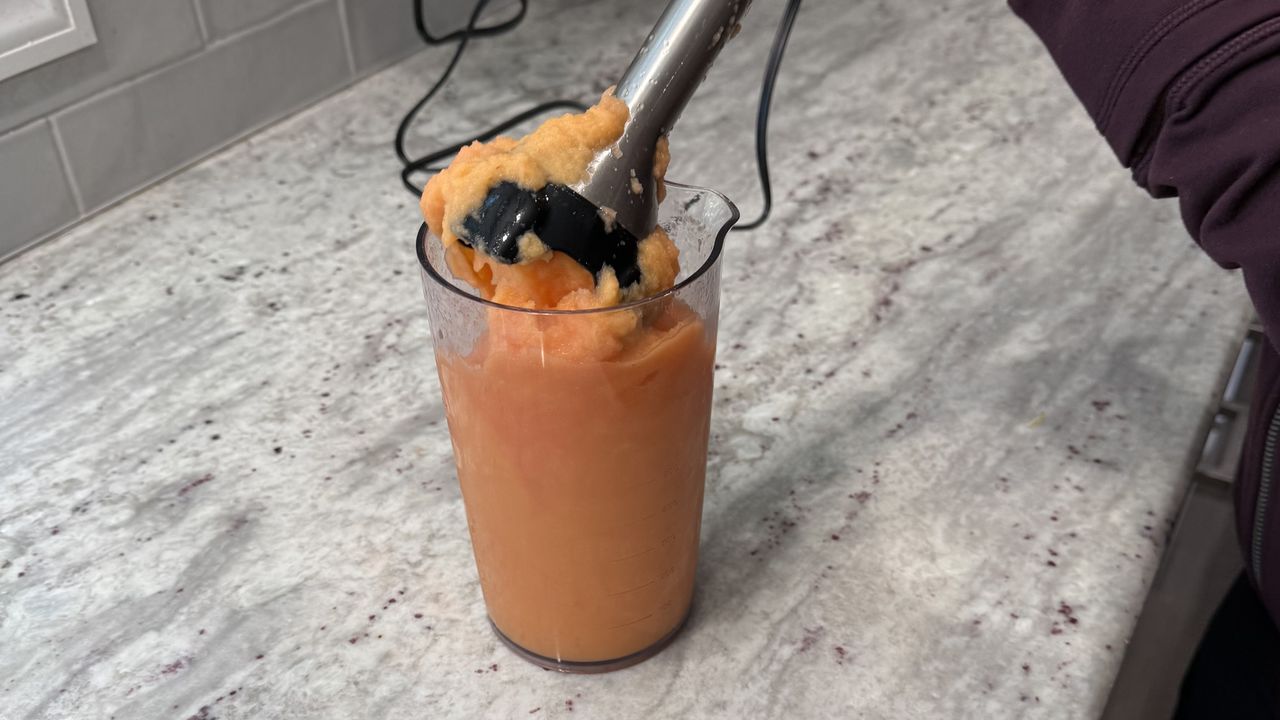 Ninja Power Duo Immersion Blender with Whisk making smoothies