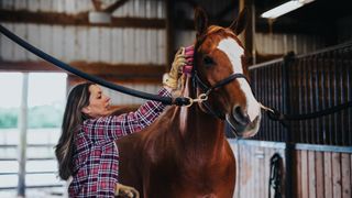 Lady brushing chestnut horse