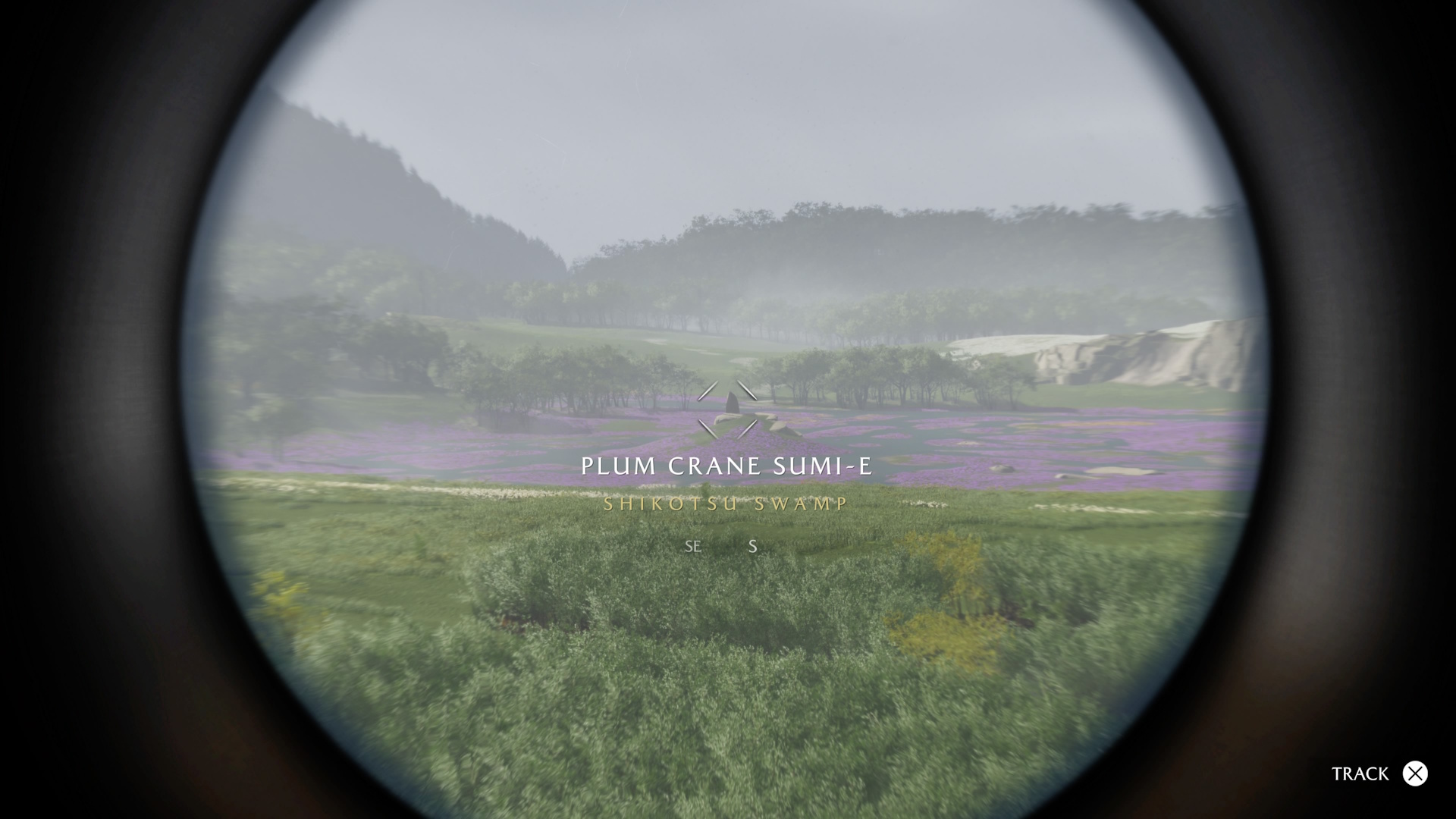 Ghost of Yotei screenshot of Atsu looking through her spyglass at a location in a field of purple flowers