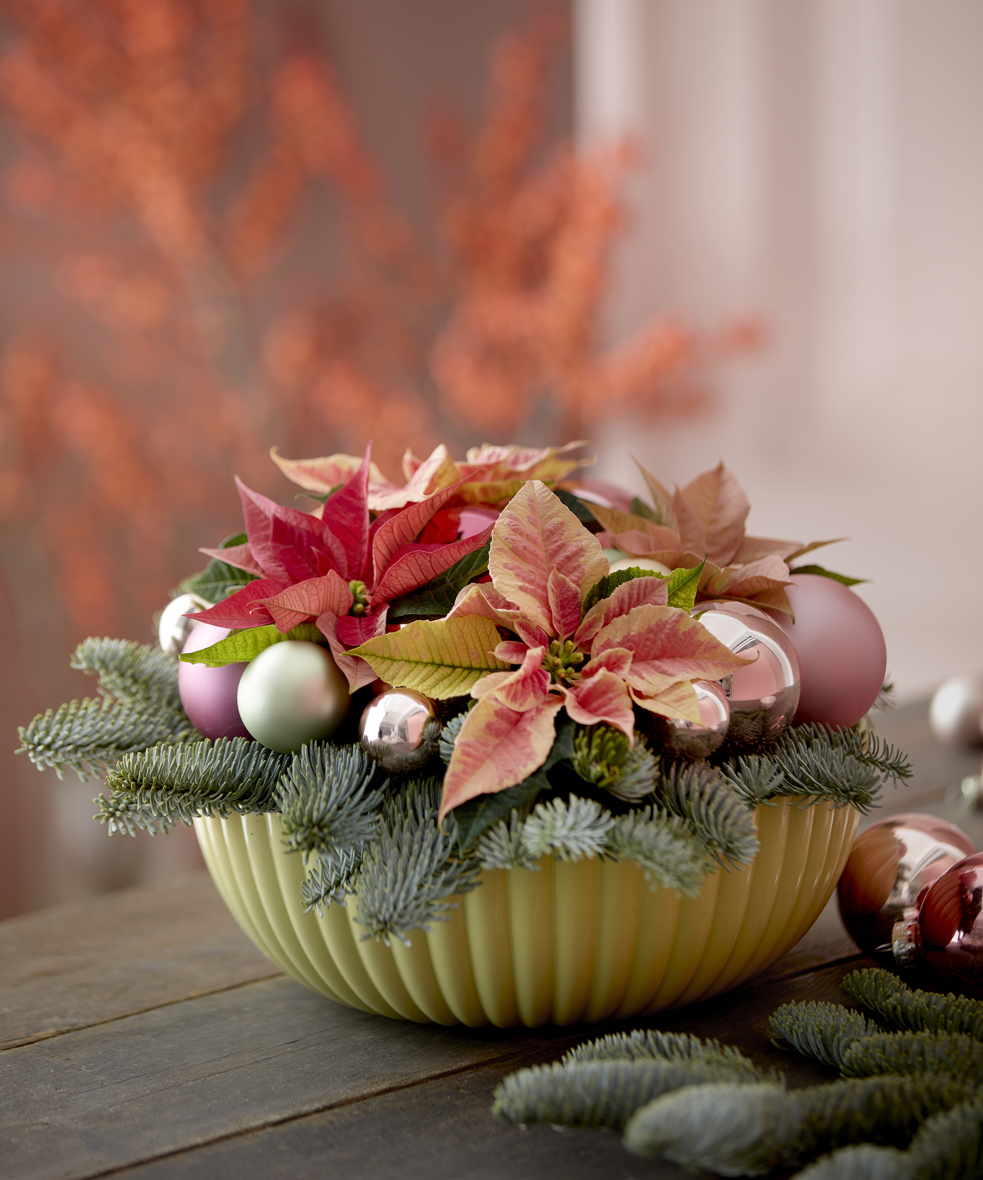 Poinsettias displayed in bowl with foliage and baubles