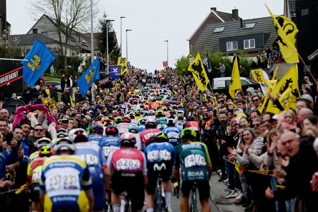 OUDENAARDE BELGIUM MARCH 31 A general view of the peloton climbing to the Berendries hill while fans cheer during the 108th Ronde van Vlaanderen Tour des Flandres 2024 Mens Elite a 2708km one day race from Antwerpen to Oudenaarde UCIWT on March 31 2024 in Oudenaarde Belgium Photo by Dario BelingheriGetty Images