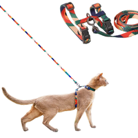 Pidan Cat Harness and Leash 