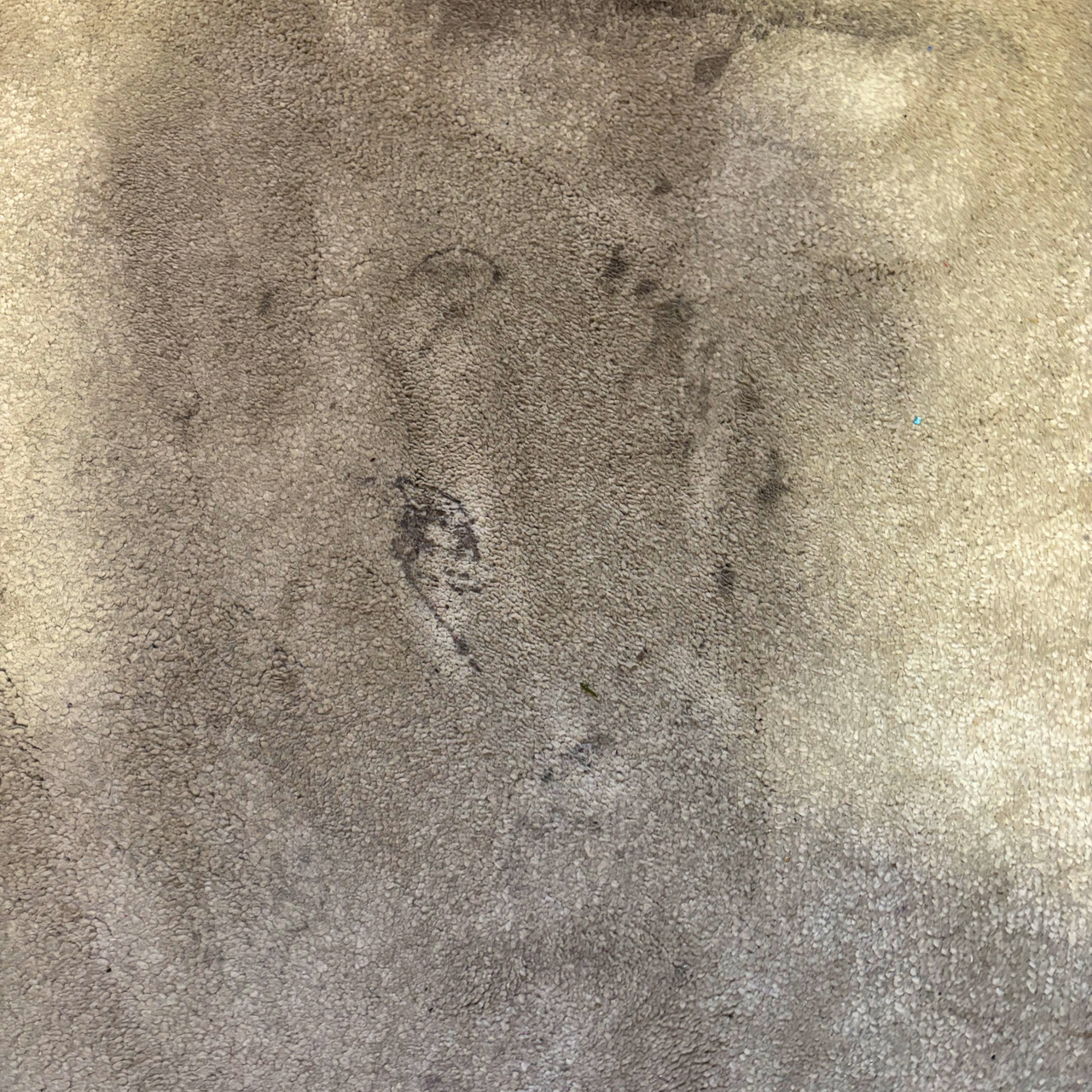 marked carpets before using VAX Platinum SmartWash XL Advanced carpet cleaner