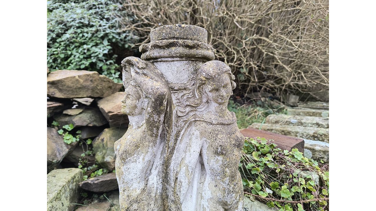 Motorola Edge 40 Neo camera sample