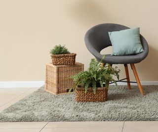 houseplants on baskets and rugs