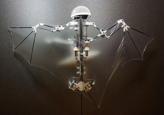 Bat Robot