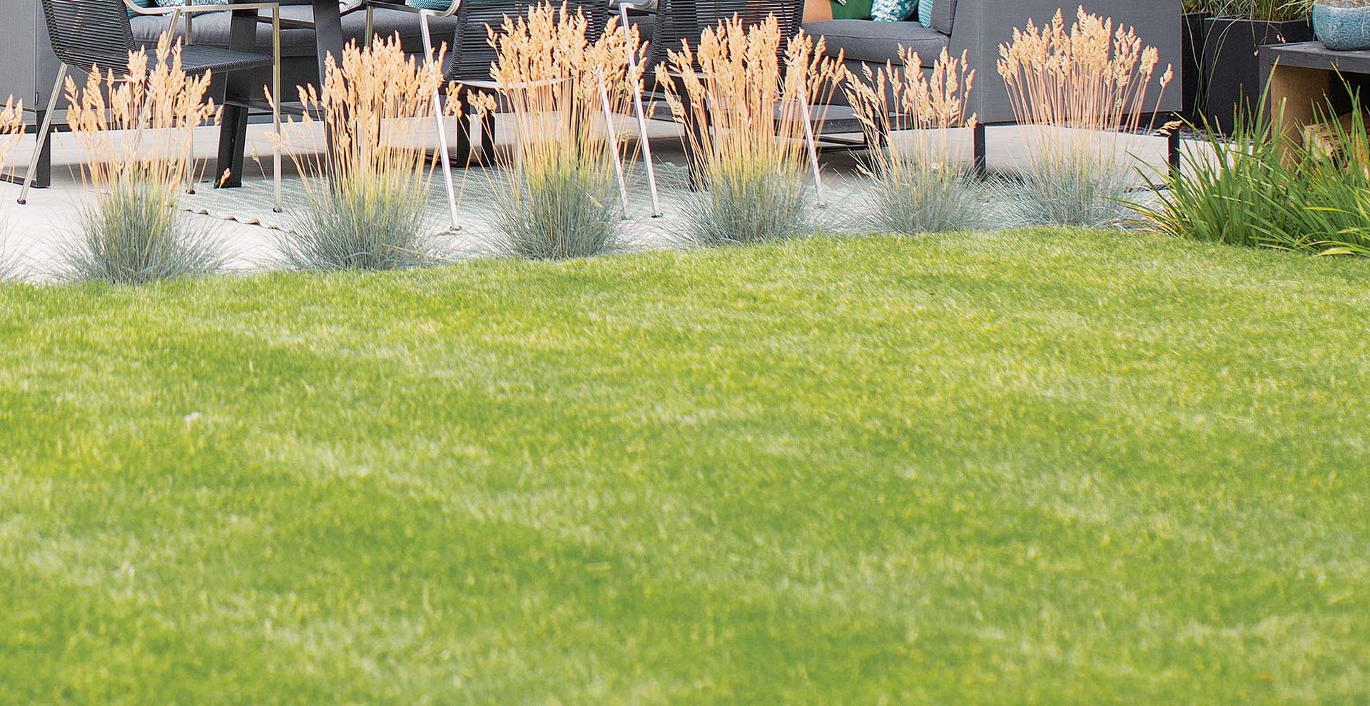 green lawn with grass border to support a guide on what to do if your lawn is yellow